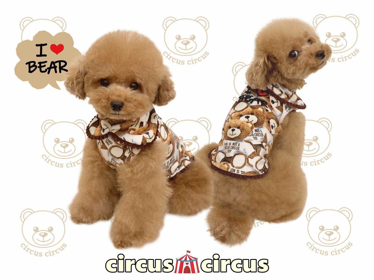 楽天市場】サーカスサーカス circus circus 犬服 Toy Bear room wear