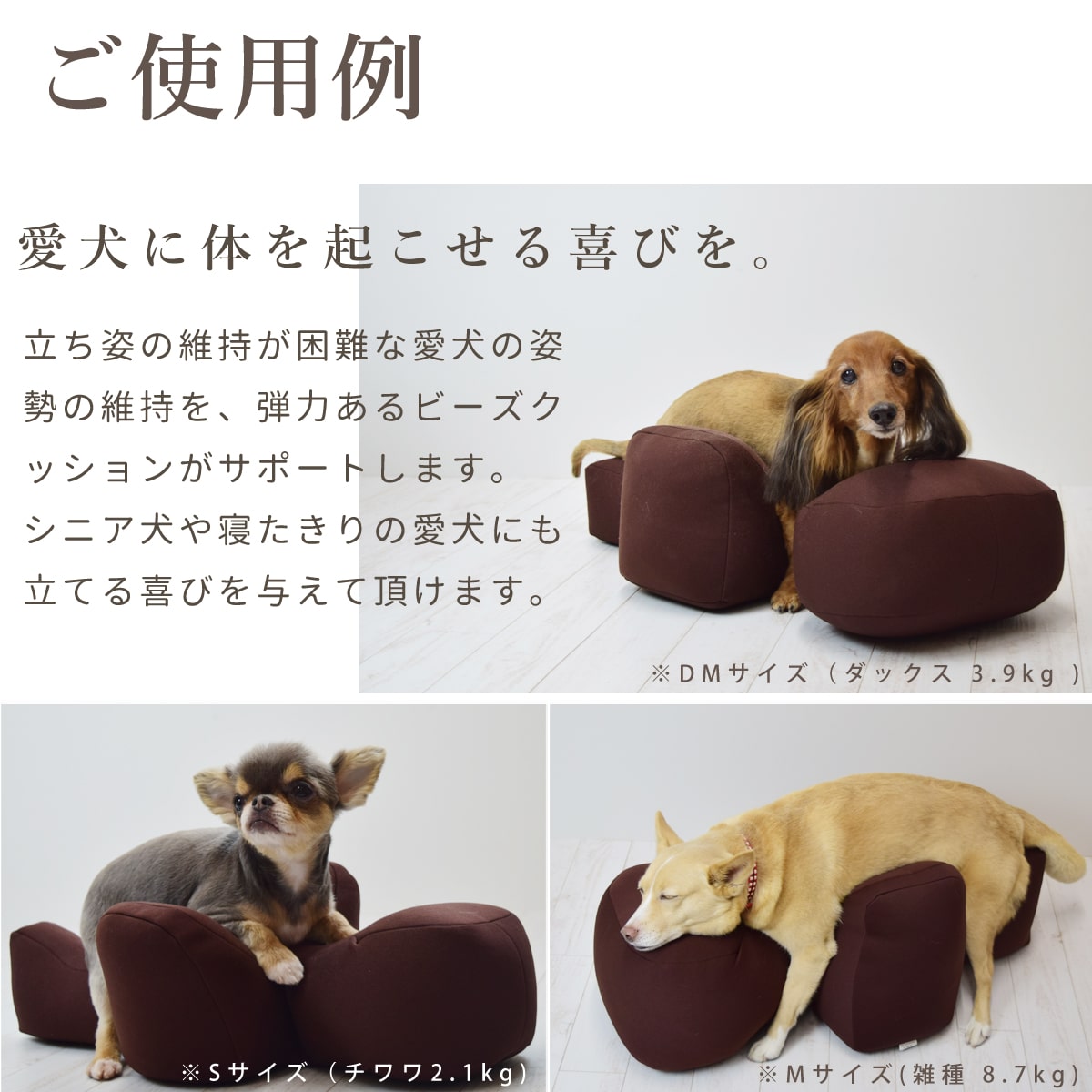 楽天市場】【愛犬用ベッド】 リラクッション LL チャコールグレー【立