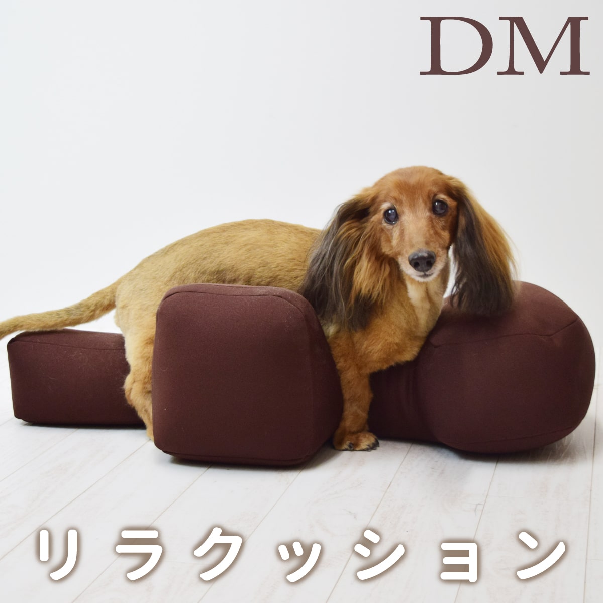 楽天市場】愛犬用ベッド リラクッション DM ブラウン 立位保定 介護