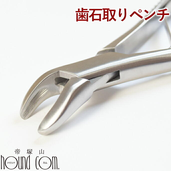 楽天市場】帝塚山ハウンドカム 歯石取りペンチ 犬用 猫用 ステンレス