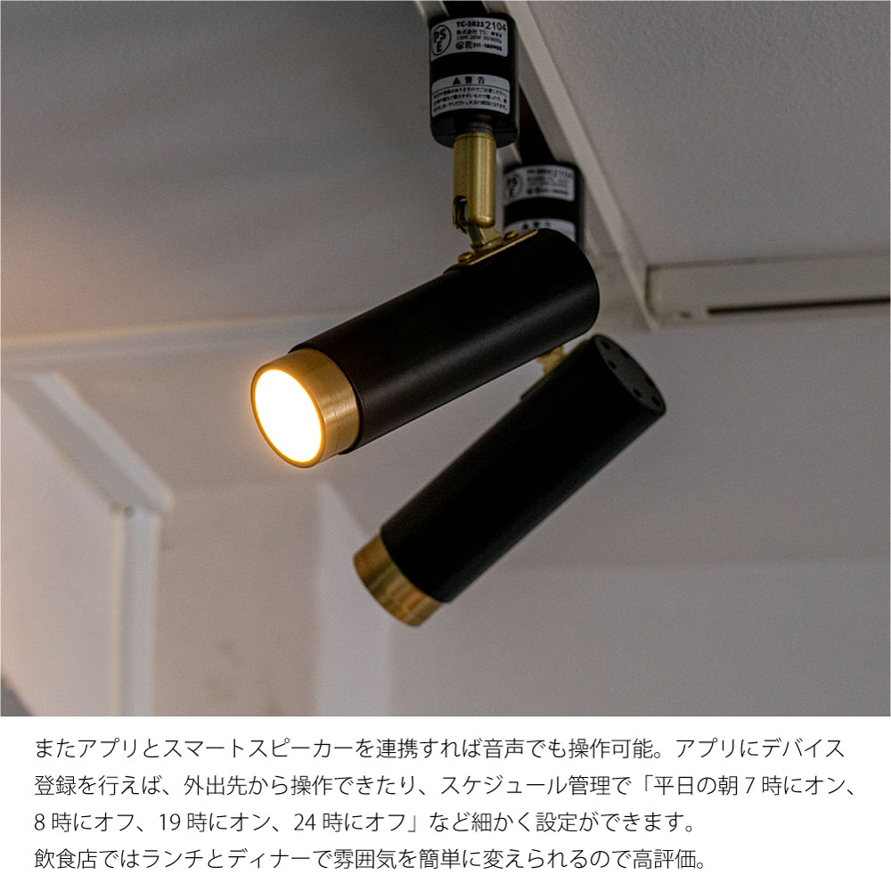 楽天市場】ノーシュ 1灯 スポットライト(リモコンセット) ダクトレール