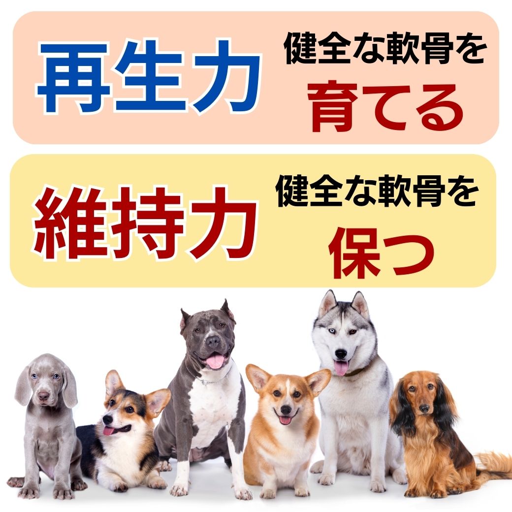 楽天市場】犬用品 コラーゲン パワーバランス 顆粒30本入り 犬
