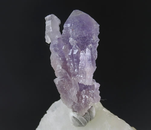 楽天市場】【PT5倍 4日20時〜】アメジスト 原石 カシードラル 栃木県