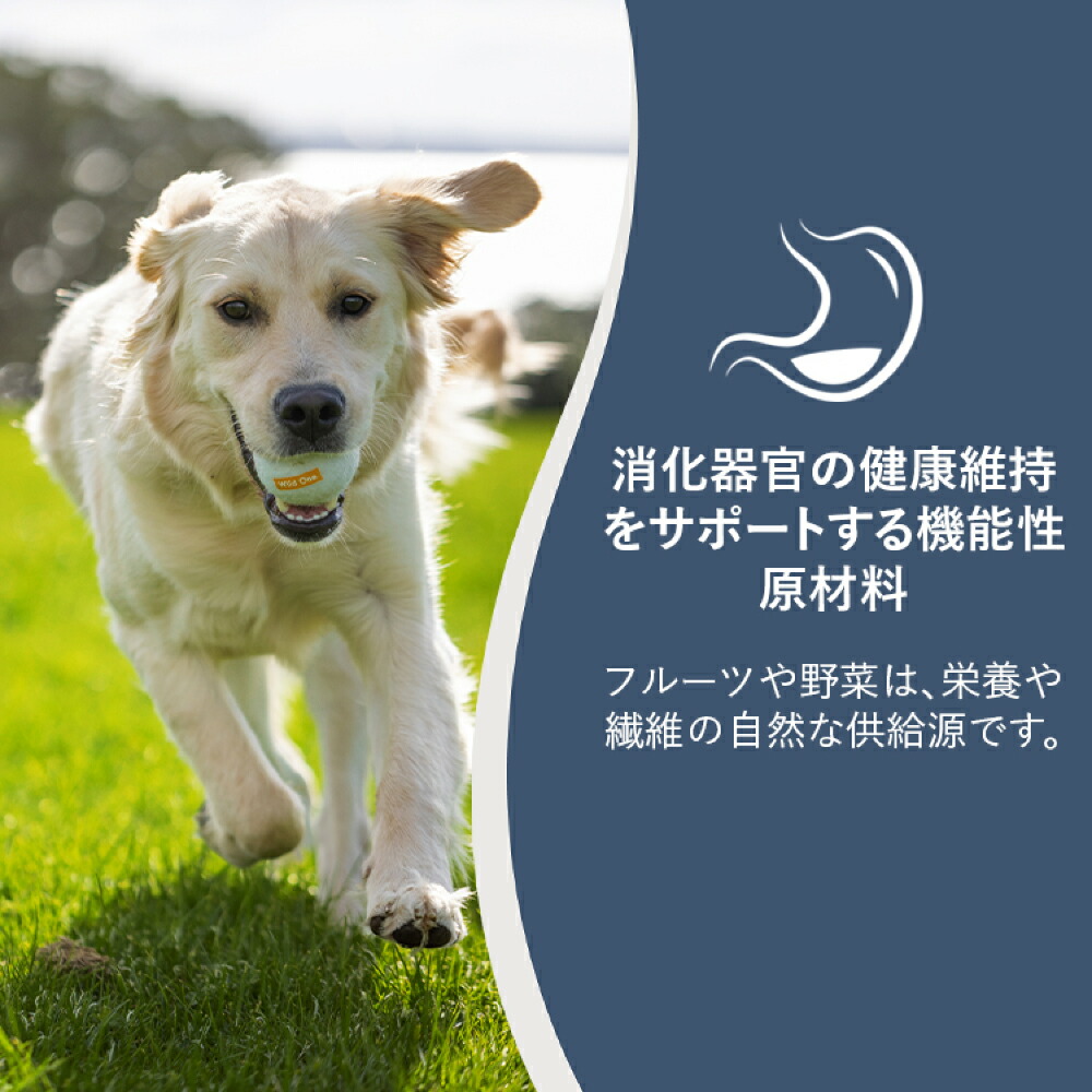 楽天市場】【正規取扱店】 犬用 ZIWI スチームドライ ドッグフード