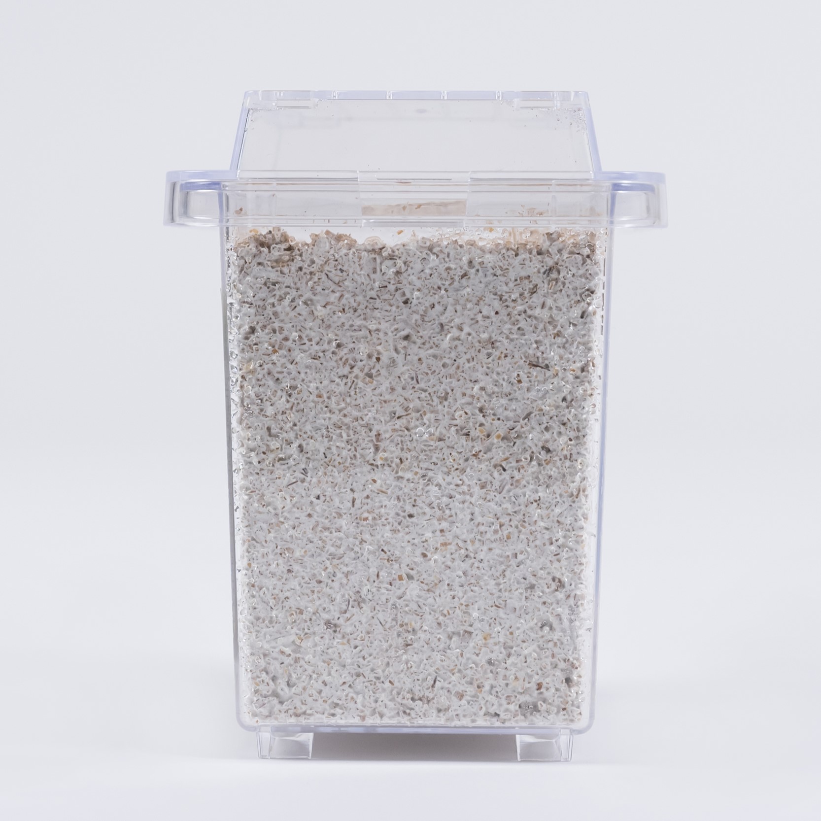 楽天市場】BIG HORN 菌糸 贅沢三昧 600CC 手詰め 広葉樹 国産 菌糸ビン