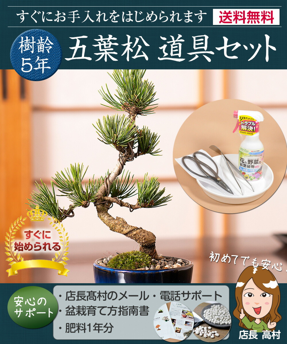 松寿 小品 盆栽鉢 レトロ 5個セット (A5) 松寿 小品 盆栽鉢 レトロ 5個