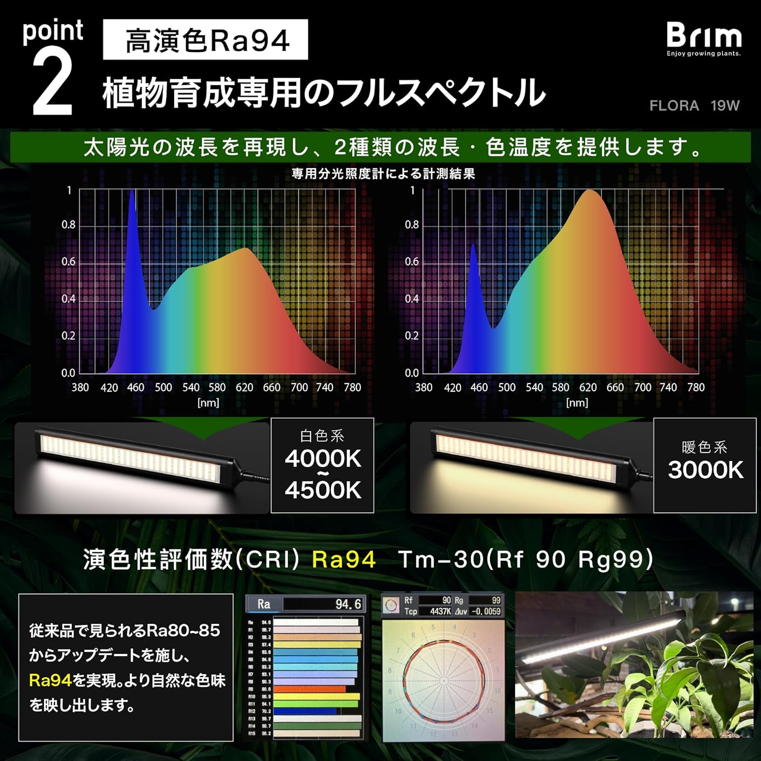 楽天市場】BRIM(ブリム) FLORA 植物育成ライト LED 雑誌anan掲載商品