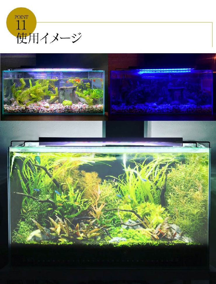 1200×45×45水槽 LEDライト、外部フィルターセット※8月3日記載変更 1200