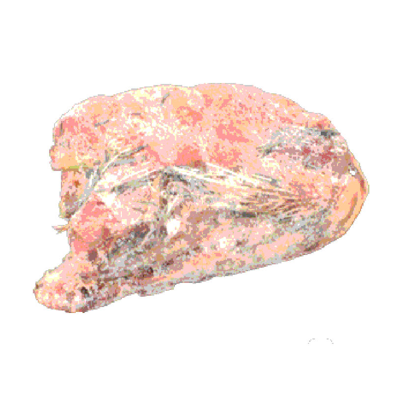 楽天市場】冷凍 ウズラ 未 処理の通販 国産冷凍親ウズラ(未処理) 150羽