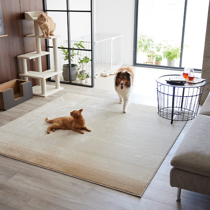 楽天市場】ラグ マール2 190×240cm 23AW◇消臭 防ダニ 滑り止め 床暖房