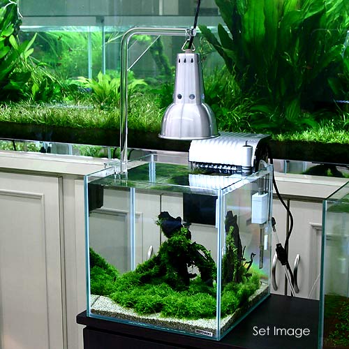 楽天市場】トゥービック クリア・アームライトスタンド 関東当日便