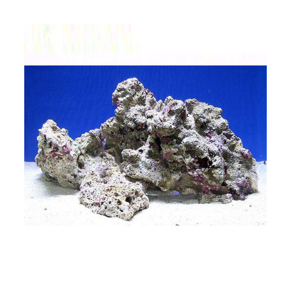 楽天市場】ライブロック 5kgの通販