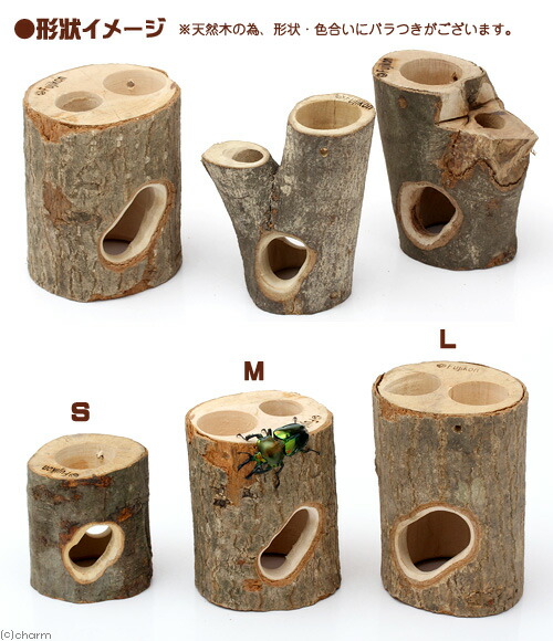 クワリウム シェルター 登り木 エサ台 クワリウム 特大サイズ