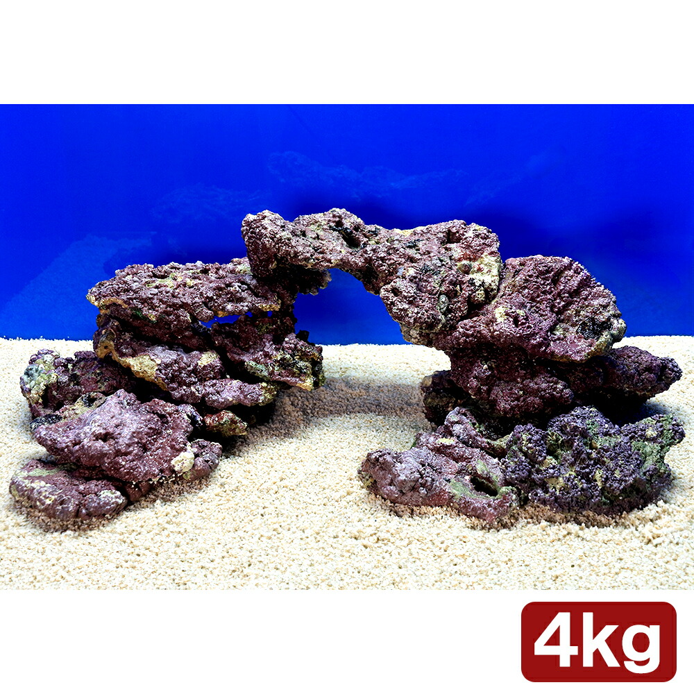 楽天市場】ライブロック 5kgの通販