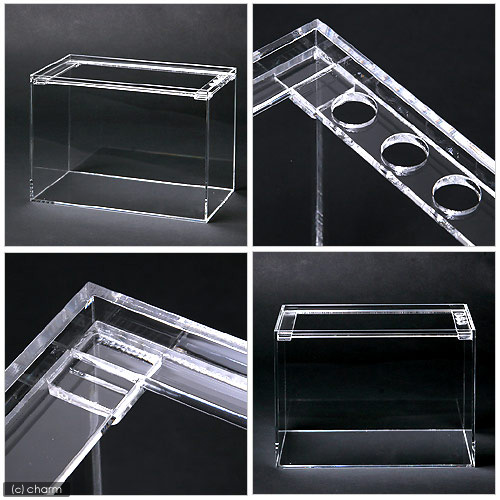 楽天市場】水槽 アクリル水槽 ラクシス No．16 （350×200