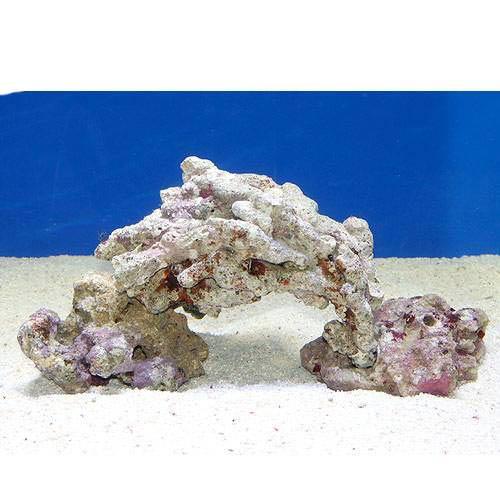 楽天市場】（海水魚）ライブロック 30cm水槽用アーチセット（形状