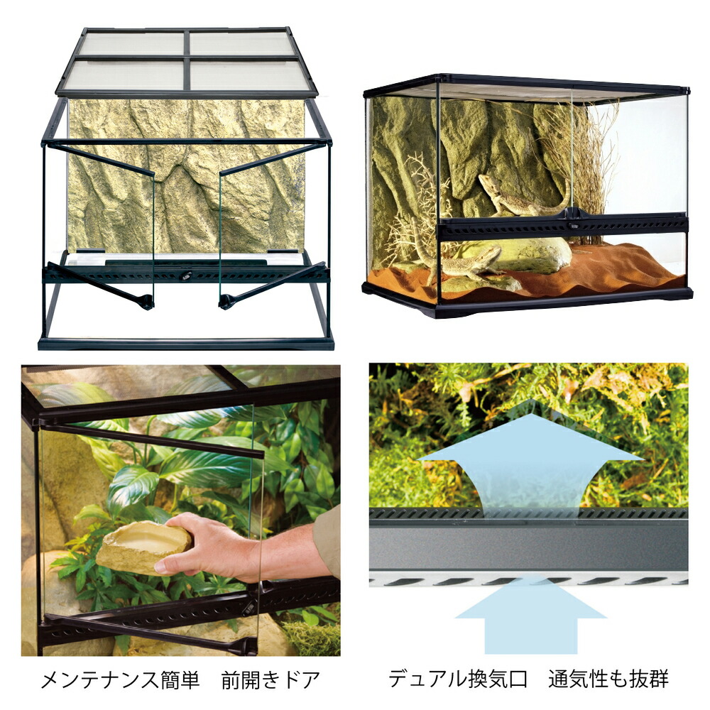 桃愛様 専用GEX グラステラリウム 6045 【公式通販】