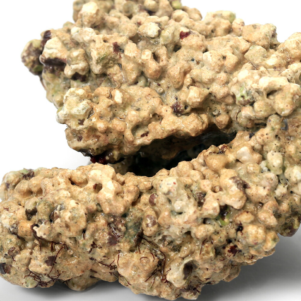 楽天市場】（海水魚）Bグレードライブロック 30cmキューブ水槽用