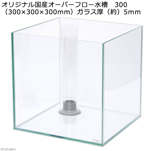 オーバーフロー水槽 600×450×300 オールガラス仕様