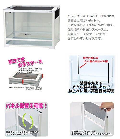 楽天市場】爬虫類ケージ 三晃商会 パンテオン ホワイト WH6045