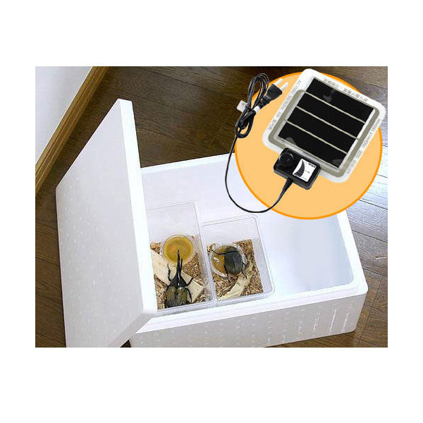 楽天市場】昆虫・小型爬虫類用 飼育保温セット 発泡スチロール パネル