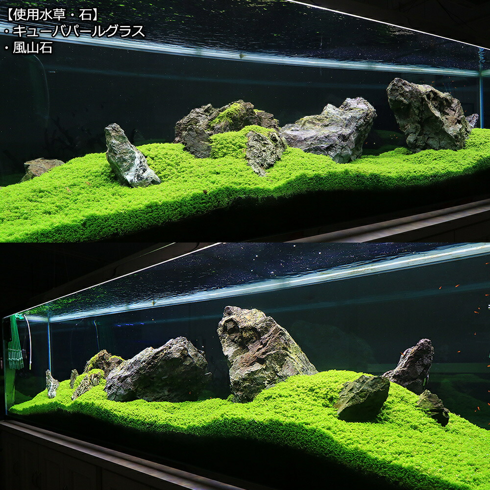 楽天市場】形状お任せ 風山石 サイズミックス 20kg 大型水槽向け