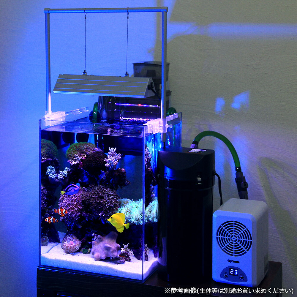 楽天市場】（海水魚）30H海水水槽セット 海水魚・サンゴ飼育