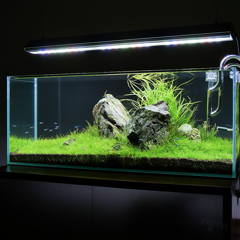 ADA 90センチ水槽 水槽台セット 引取り限定