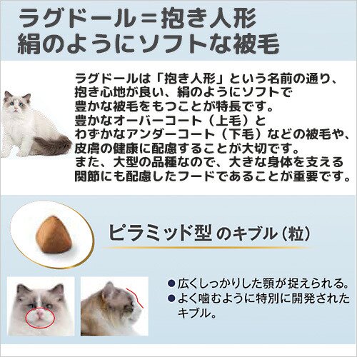 楽天市場】ロイヤルカナン 猫 ラグドール 成猫用 生後12ヵ月齢から