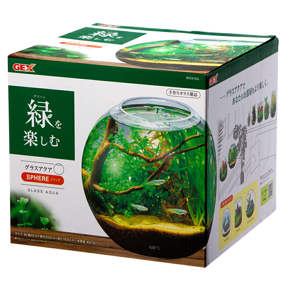 新入荷】フィッシュボール(天然木ガラス水槽)Mサイズ2個口 新入荷