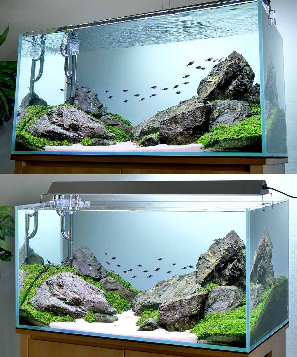 アクロトライアングルグロウ900 【公式通販】