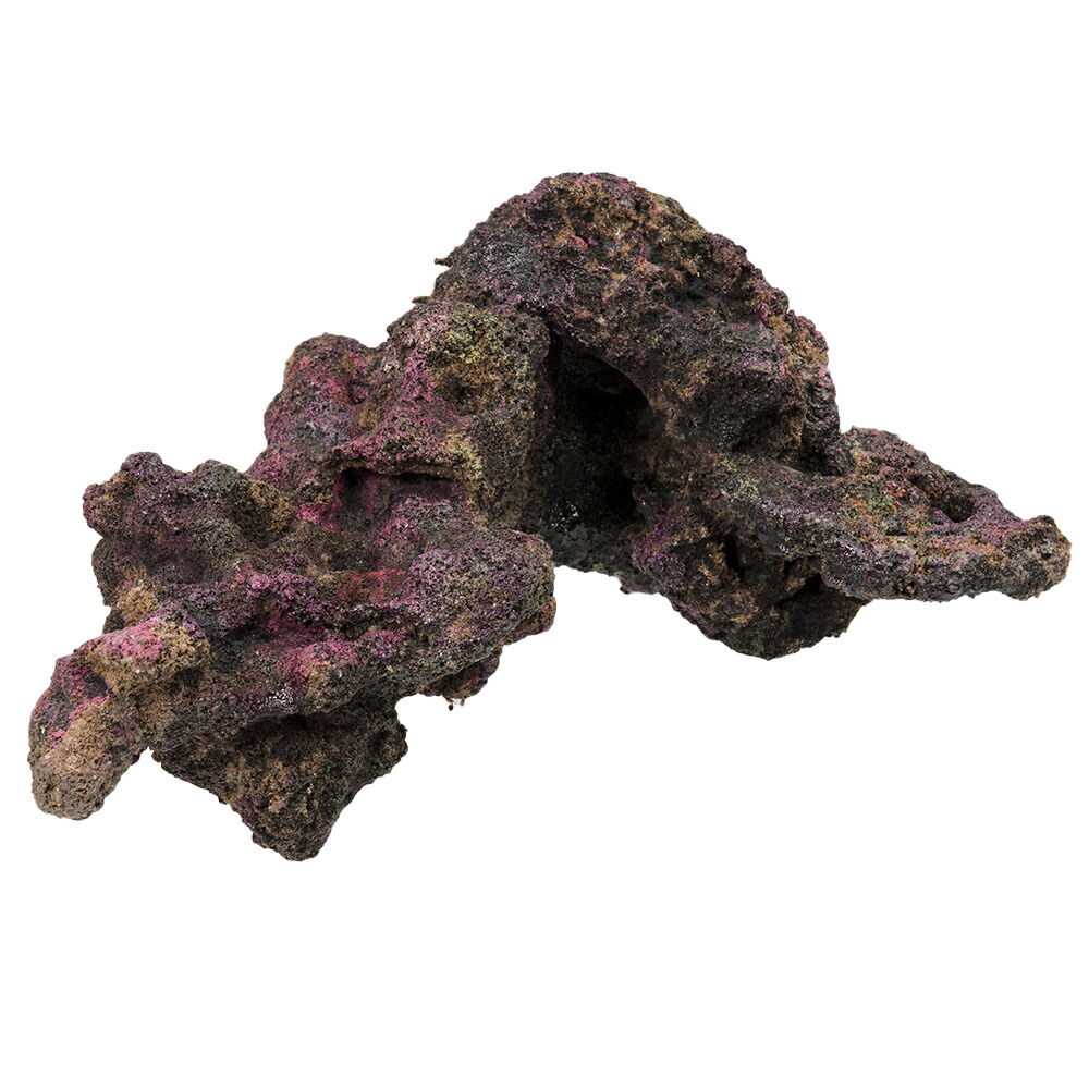 ライブロック レプリカ」の人気商品一覧 | 安い商品を通販サイトから