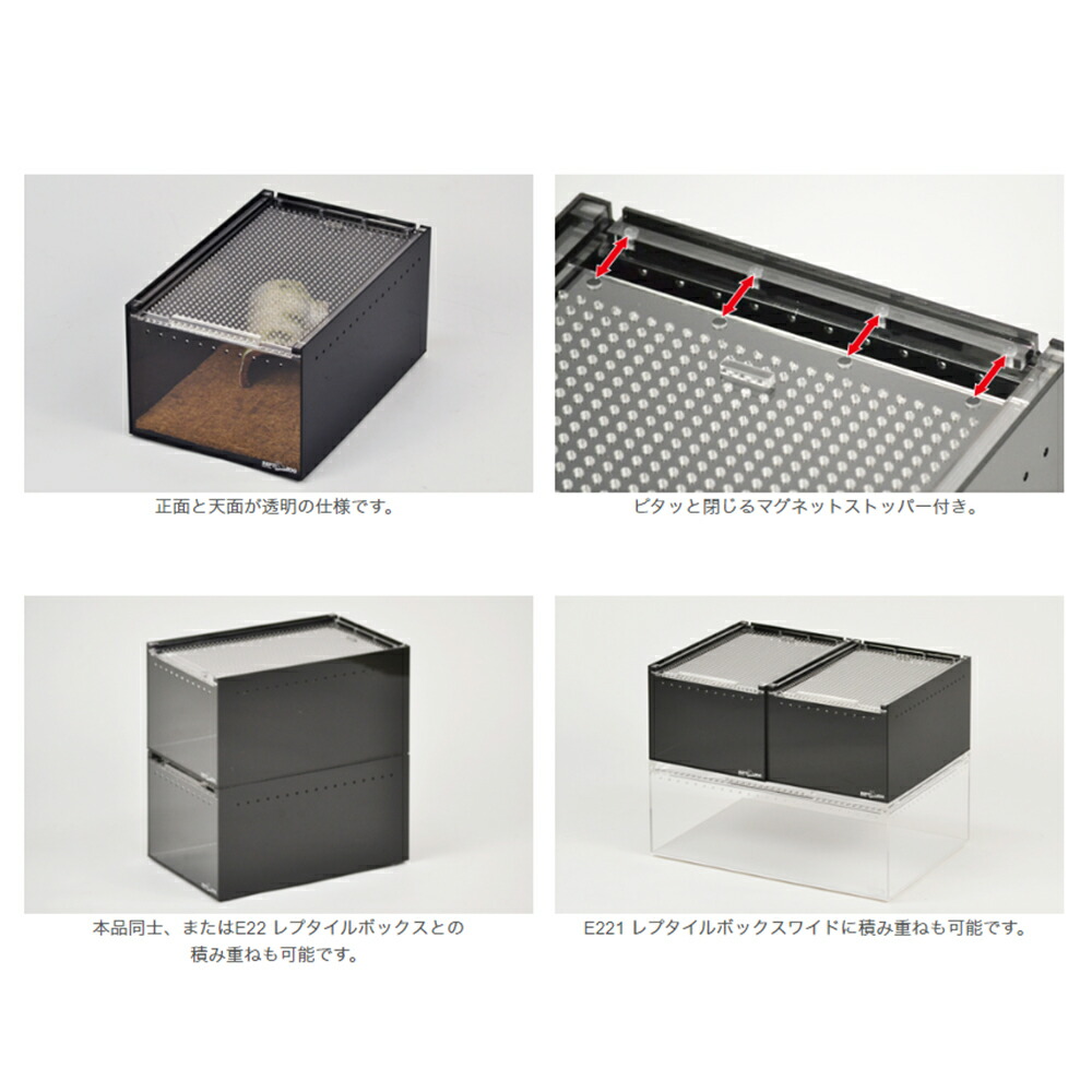 楽天市場】三晃商会 レプタイルボックス BK ブラック 爬虫類 飼育