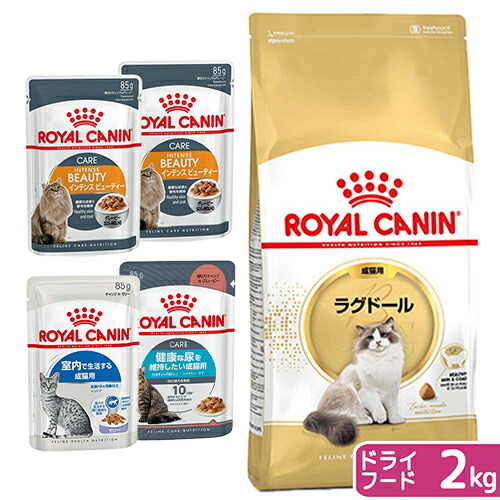 楽天市場】ロイヤルカナン 猫 ラグドール 成猫用 生後12ヵ月齢から