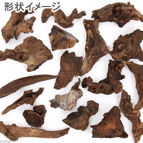 楽天市場】形状お任せ 自然流木 ミニ（約15cm以下） 1本