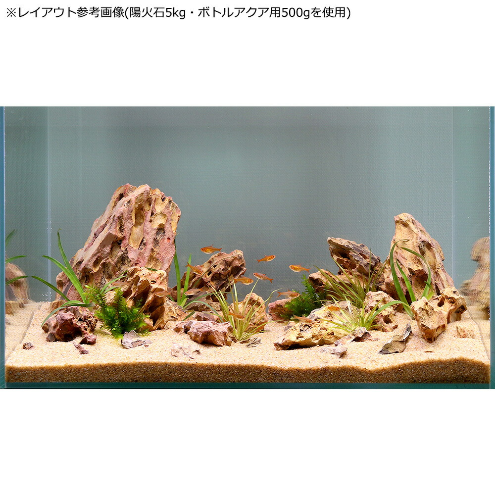 楽天市場】形状お任せ 陽火石 サイズミックス 5kg 45cm水槽向け