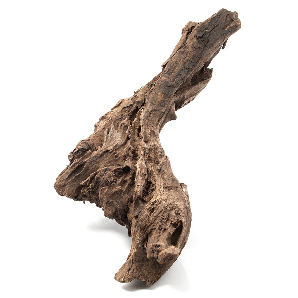 楽天市場】流木 アク抜き 済みの通販