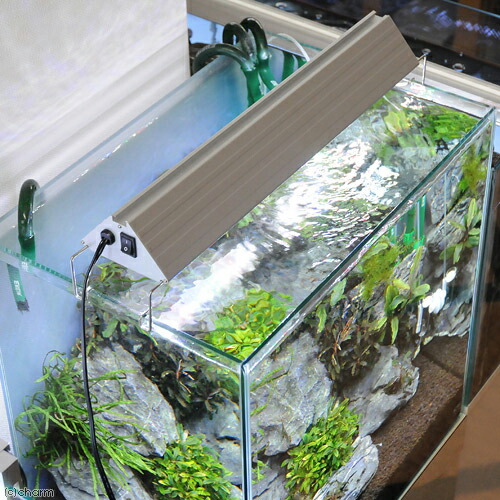 楽天市場】アクロ TRIANGLE LED GROW 450