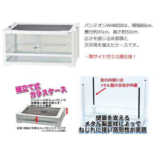 楽天市場】爬虫類ケージ 三晃商会 パンテオン ホワイト WH6030