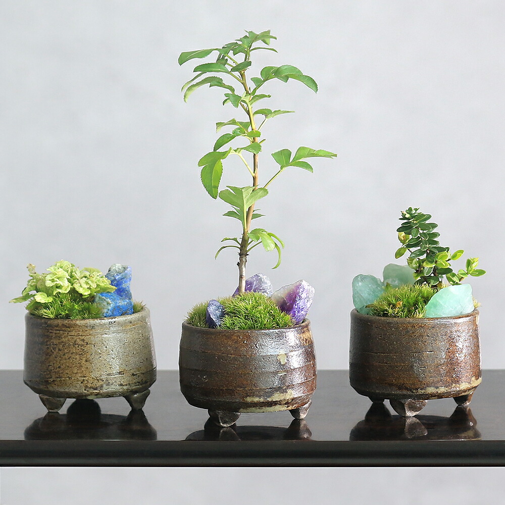 ミニ盆栽鉢 桑津香石 絵鉢 山野草 盆栽鉢 絵鉢 桑津香石 山野草 盆栽鉢