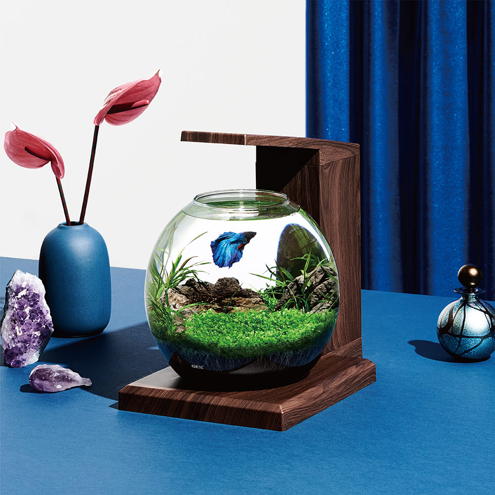 楽天市場】GEX 水槽セット グラスアクア PERCO B−Dark