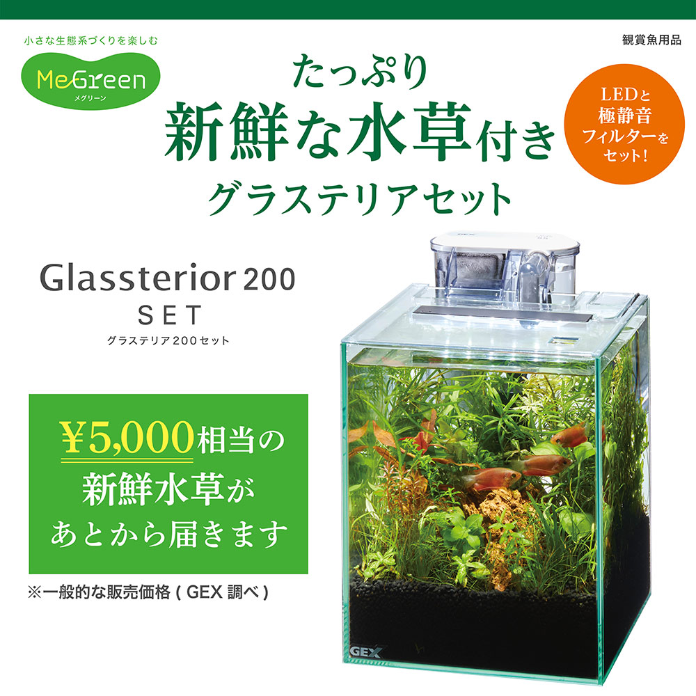 楽天市場】GEX 水槽セット MeGreen 新鮮な水草付き グラス