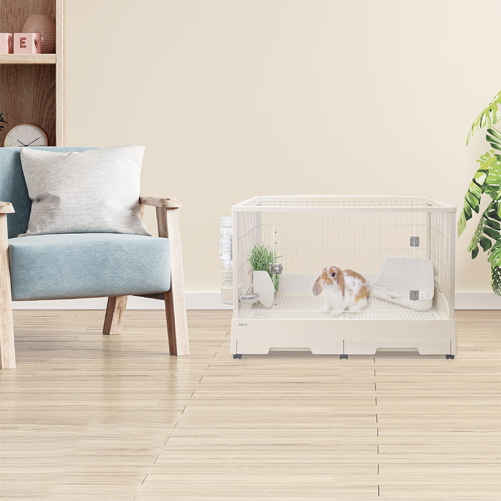 楽天市場】GEX クリアフロント80 飼育ケージ ケージ ゲージ