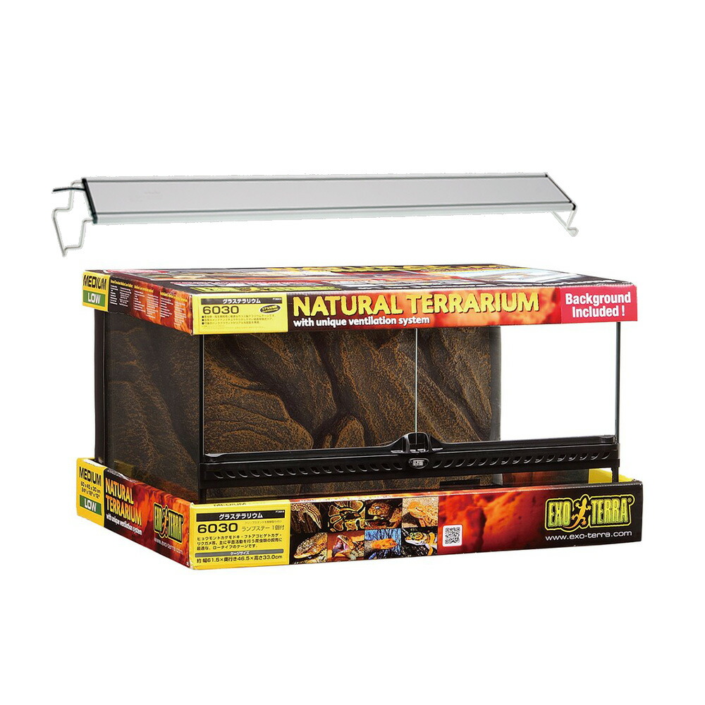 GEX グラステラリウム 6030 楽天市場】爬虫類ケージ GEX エキゾテラ