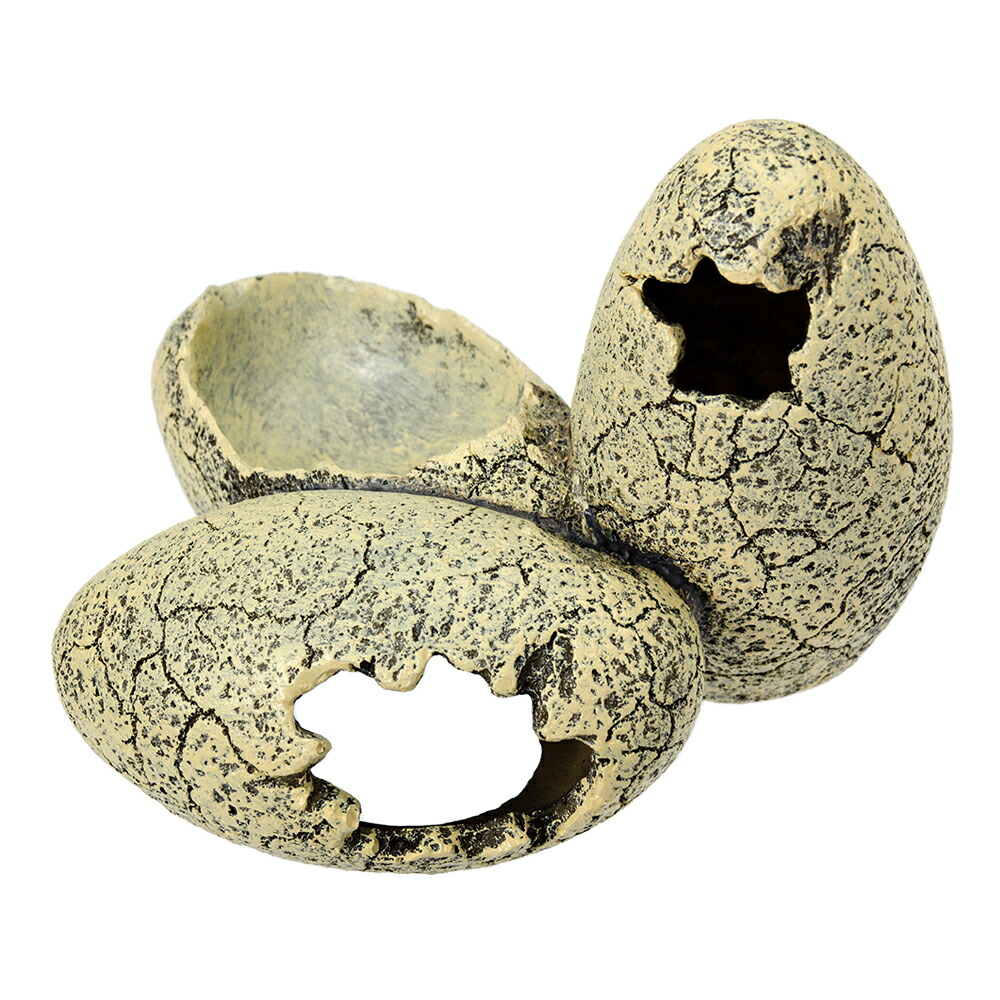 楽天市場】GEX エキゾテラ 恐竜の卵S PT2840 関東当日便