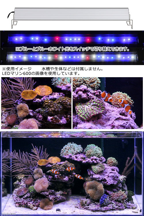 楽天市場】アクロ TRIANGLE LED MARINE 600