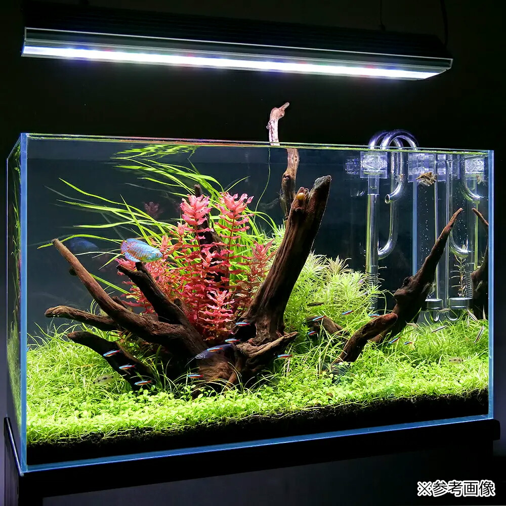 アクロ TRIANGLE LED GROW 900