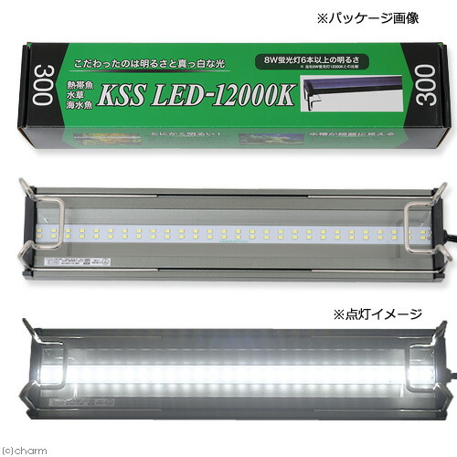 楽天市場】興和 KSS LED−12000K 300 30〜45cm