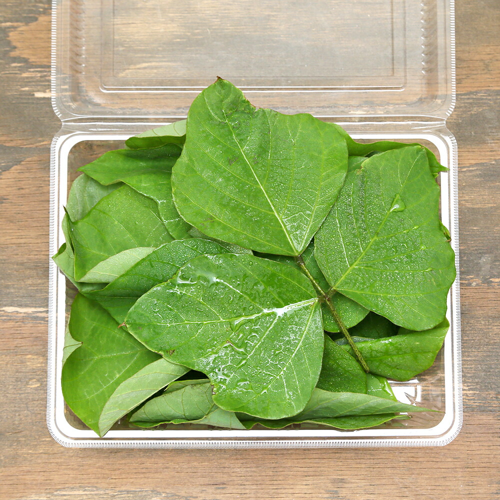 生葉/乾燥葉 ☆セミオーダーページ☆ ウサギ ハムスター リクガメ さん