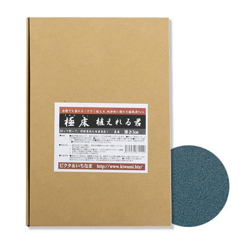 楽天市場】ピクタ 極床 植えれる君 A4 3cm 爬虫類 テラリウム